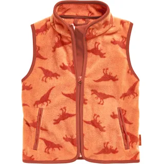 Playshoes Fleece Weste Unisex Kinder Outdoor-Oberteil, Dinos, 92