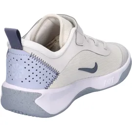 Nike Omni Multi-Court Kinder PLATINUM TINT/WHITE 35