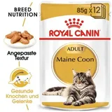 Royal Canin Maine Coon Adult 12 x 85 g