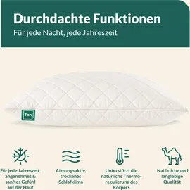 fan Kamelhaar Kopfkissen 80 x 80 cm Beige