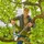 Gardena Astschere TeleCut Pro S / 52 cm 12040-88