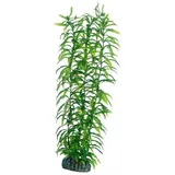 Hobby Aquariendeko Heteranthera 34 cm