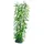 Hobby Aquariendeko Heteranthera 34 cm