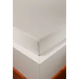 Hefel Spannbettlaken Jersey-Baumwolle-Lyocell 90 x 120 - 120 x 220 cm beige