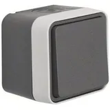 Berker 30763505 Wechselschalter W.1 grau