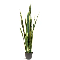 Bogenhanf - Sansevieria trifasciata Kunstpflanze Höhe 124 cm