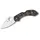 Spyderco Dragonfly 2 Zome  (01SP234)