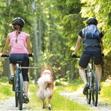 Karlie Walky-Dog Plus - die dritte Hand Fahrradhalter für den Hund 1 St