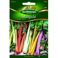 Quedlinburger Mangold, Bright Lights'