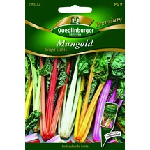 Quedlinburger Mangold, Bright Lights'