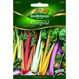 Quedlinburger Mangold, Bright Lights'