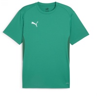 Puma Herren Teamgoal Jersey T-Shirts, Sport Green-puma White-power Green,