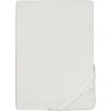 biberna 12344 Frottee-Stretch 140-160x190-200cm
