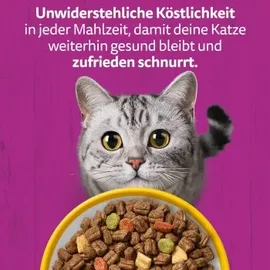 Whiskas Senior Huhn 800 g