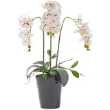 Homescapes Kunstblume, Orchidee weiß-pink im Deko-Topf, 56 cm,