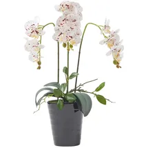 Homescapes Kunstblume, Orchidee weiß-pink im Deko-Topf, 56 cm,