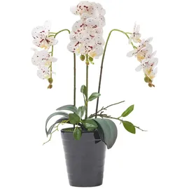 Homescapes Kunstblume, Orchidee weiß-pink im Deko-Topf, 56 cm,