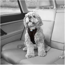 Kurgo Tru-Fit Smart Hundegeschirr Schwarz M