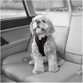 Kurgo Tru-Fit Smart Hundegeschirr Schwarz M