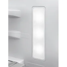AEG 8000 Cooling 360° ORC8M321CX Kühl-Gefrierkombination (328 l, 1870 mm hoch, Silber)