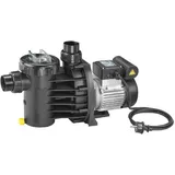 Speck Pumpen Magic II Poolpumpe 6