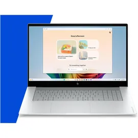 HP OmniBook X Next Gen AI 17-de0076ngx Intel Core Ultra 7 355 24 GB RAM 1 TB SSD Win11 Home