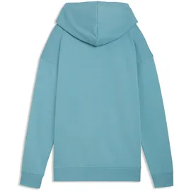 Puma Hoodie Baltic Sea Blue M
