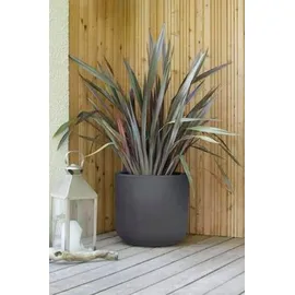 Eda Plastiques Basalt Up Ø 38,5 x 36,8 cm Anthrazit