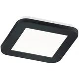 Trio Reality LED Deckenleuchte Camillus Schwarz matt 30 mm x 170 mm x 170 mm