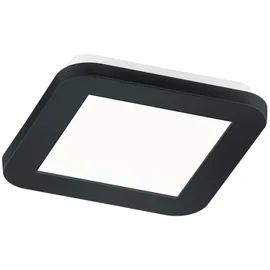 Trio Reality LED Deckenleuchte Camillus Schwarz matt 30 mm x 170 mm x 170 mm
