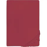 biberna 0077866 Jersey-Elastic 140 x 200 - 160 x 220 cm rubin