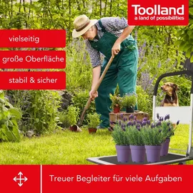 Toolland Plattformwagen 150 kg