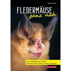 Fledermäuse ganz nah