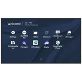 ViewSonic CDE4330 43"