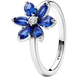 Pandora Funkelndes Herbarium Blau, 50/15,9