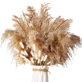ZJTAPE Pampasgras Getrocknet - 45 Stück Natürliche Trockenblumen Deko, Braun Pampasgras Flauschige Wedel, Kurze Pampas Trockenblumenstrauß Dried Flowers, für Hochzeit Herbst Tischdeko Wohnzimmer