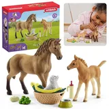 Sarcia.eu Spielfigur SLH42432 Schleich Horse Club - Stutenpflegeset Quarter Horse