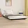 vidaXL Massivholzbett 200 x 200 cm Schwarz