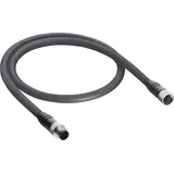 Belden 10968-1 Sensor-/Aktor-Datensteckverbinder, konfektioniert M12 Stecker, gerade, Buchse, gerade