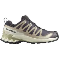 Salomon XA Pro 3D V9 GTX Schuhe (Größe 41 1/3