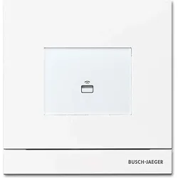 BUSCH-JAEGER Zutrittskontrolle außen 83100/72-664
