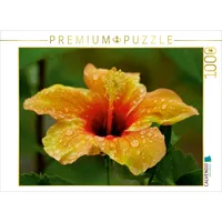 Calvendo Ein Motiv aus dem Kalender "Zarte Schönheiten -