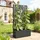 Outsunny Pflanzkasten mit Sichtschutz 61 x 23 x 113 cm Schwarz