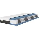DREAMSTAR Premium 1000er Taschenfederkernmatratze I ergonomische 7-Zonen Tonnentaschenfederkernmatratze I Höhe 22 cm I Härtegrad 3 (H3) 80-100 kg I 90 x 200 cm