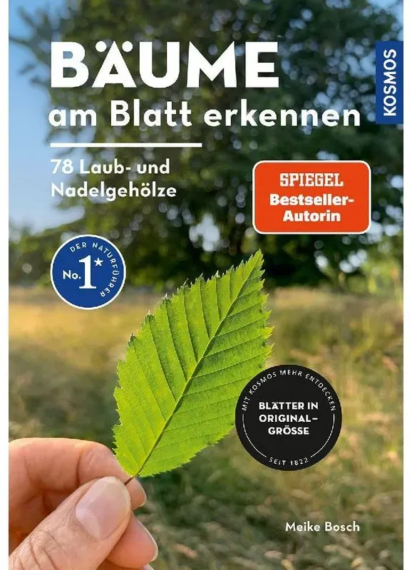 Bäume Am Blatt Erkennen - 78 Laub- Und Nadelgehölze. Blätter In Originalgröße - Meike Bosch  Kartoniert (TB)