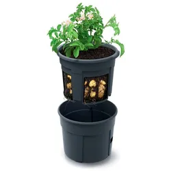 Prosperplast - Pflanztopf für Kartoffelanbau Potato Grower aus Kunststoff in Anthrazit, 39,2 x 39,2 x 31,6 cm