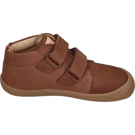 Koel Don Braun 25