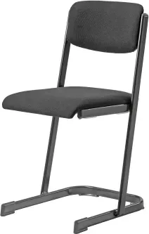 Lehrerstuhl mit Sitz- und Rückenpolster