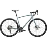 Specialized Diverge E5 Elite Sea Foam/Dune White 2025 56