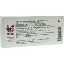TRIGONUM vesicae et Musculus sphinc.GL D 12 Amp. 10X1 ml